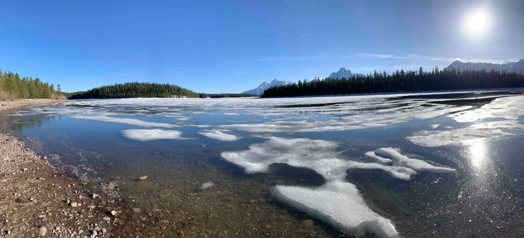 Our Reintroduction to Our Volunteer Jobs — or, Nature Takes Her Course
